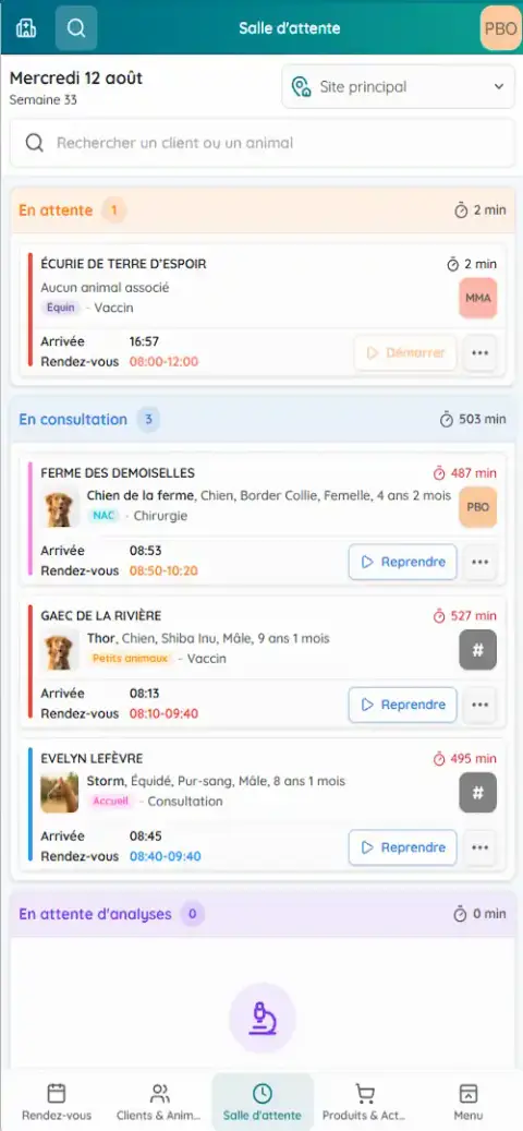 Aperçu sur mobile